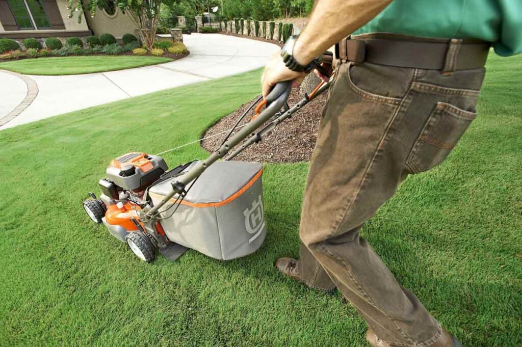 buying guide of mower